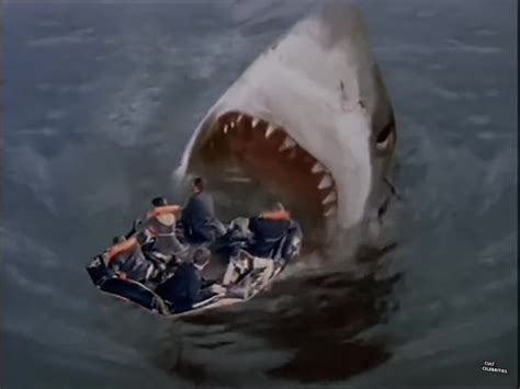 Shark Attack 3: Megalodon (2002) - Cult Celebrities