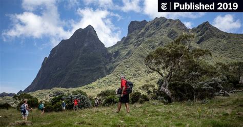 Why Hiking Beats Surfing on Réunion Island (Hint: Sharks!) - The New ...