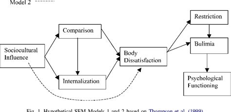 Figure 6 from An evaluation of the Tripartite Influence Model of body ...