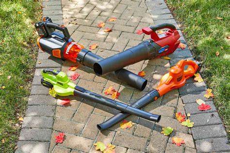 The 6 Best Electric Leaf Blowers, Tested and Reviewed