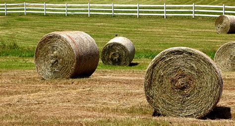 Hay a predominant crop grown in Indiana | Morning Ag Clips