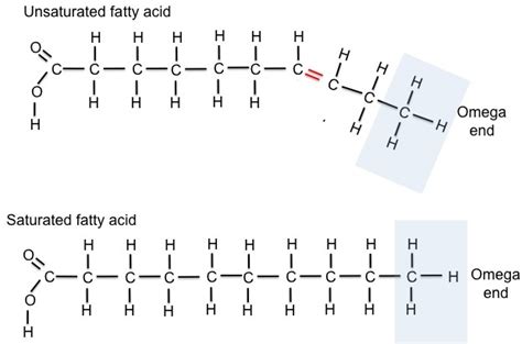 Getting More Omega-3 Fatty Acids from Milk - International Milk ...