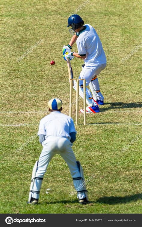 Cricket Batsman Wicket Keeper Game Action — Stock Photo © ChrisVanLennepPhoto #142421002