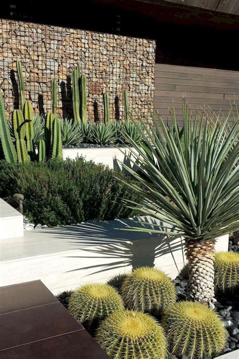 36 Beautiful Cactus Landscaping Ideas For Your Front Yards Decor ...