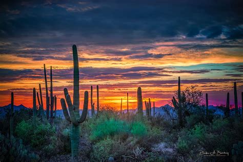 Arizona Desert Landscape Wallpapers - Top Free Arizona Desert Landscape Backgrounds ...