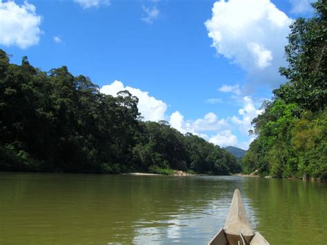 Taman Negara, Pahang, Malaysia