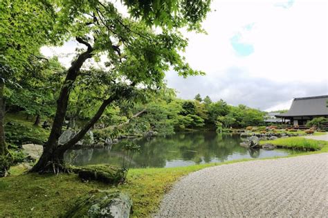 Premium Photo | Japanese garden in kyoto japan