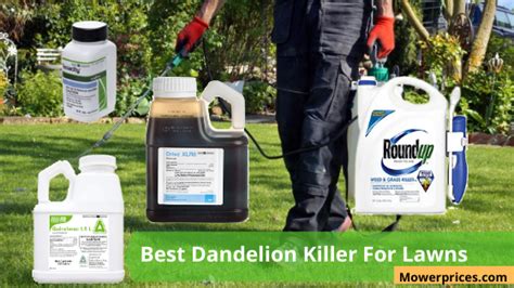 15 Best Dandelion Killers For Lawns 2024: MowerPrices.com