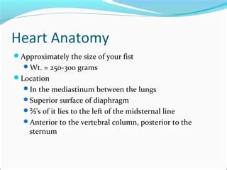 Heart anatomy | PPT | Free Download