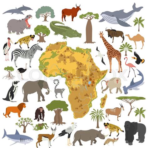 Flora And Fauna Africa