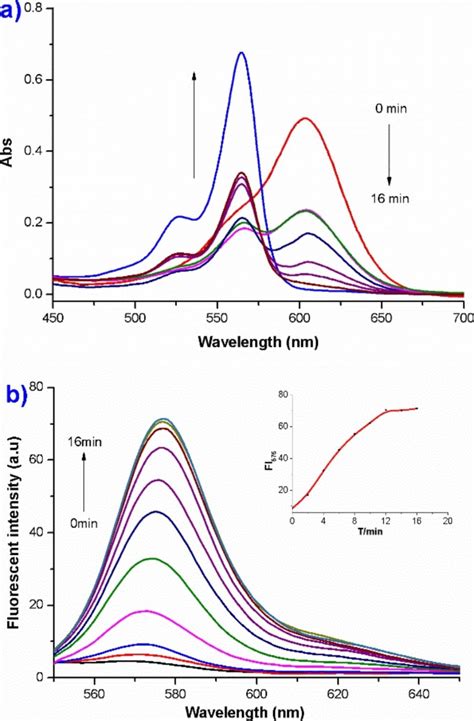 (a) UV–vis and (b) fluorescent spectral changes of the probe (5 µM) in ...