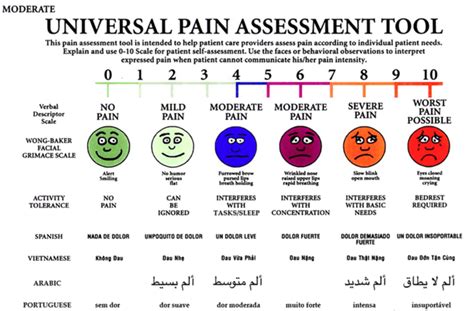 The Universal Pain Assessment Tool (UPAT), that has been used to ...