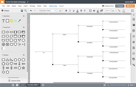 Family Tree Generator | Lucidchart pertaining to Blank Tree Diagram ...