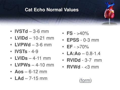 PPT - Basic Echocardiography PowerPoint Presentation - ID:425345