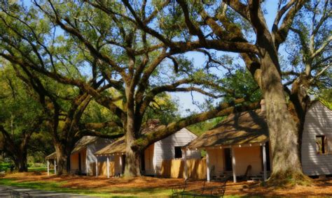 Oak Alley Plantation Tour | Do Something Different