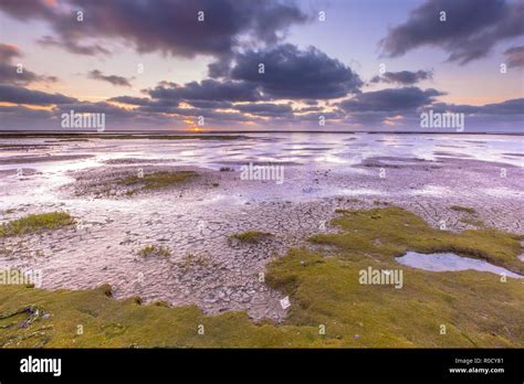 Reclaimed land netherlands hi-res stock photography and images - Alamy