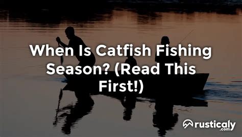 When Is Catfish Fishing Season? (Explained for Beginners)