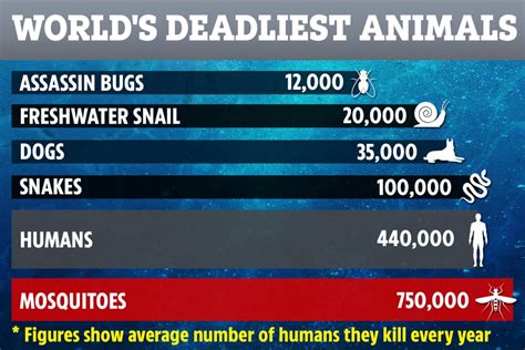 World's deadliest animals ranked by number of humans killed – and ...