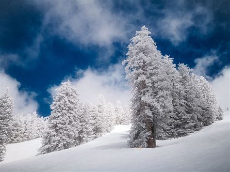 Find Fun at Snowbowl Flagstaff | Porter