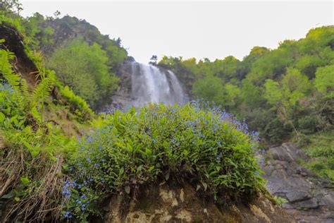 Forests, Waterfalls and Streams To Relax Stock Photo - Image of cascade ...