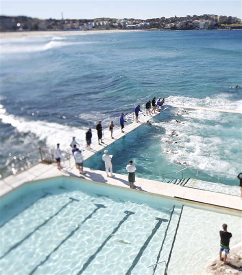 Bondi Icebergs – Bondi Icebergs Club & Swim School