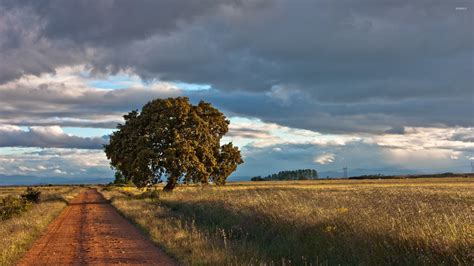 Path on an autumn field wallpaper - Nature wallpapers - #53213