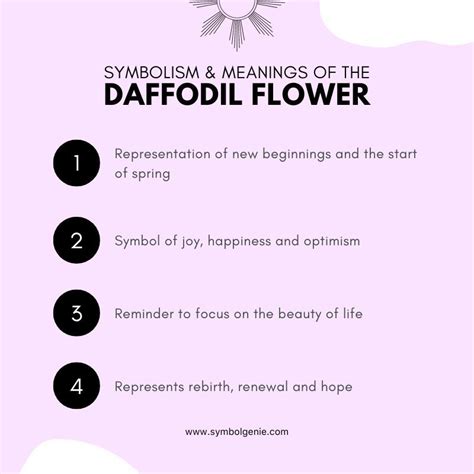 Daffodil Flower: Symbolism, Meanings, and History - Symbol Genie