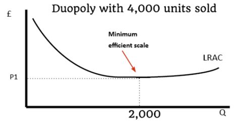 Duopoly - Economics Help