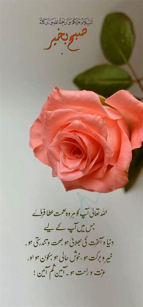 Islamic Subha Bakhair, Good morning with beautiful Dua qoute | Good morning flowers quotes, Good ...