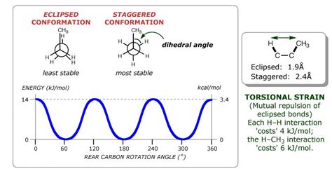 Make a graph of potential energy versus angle of bond rotation for ...