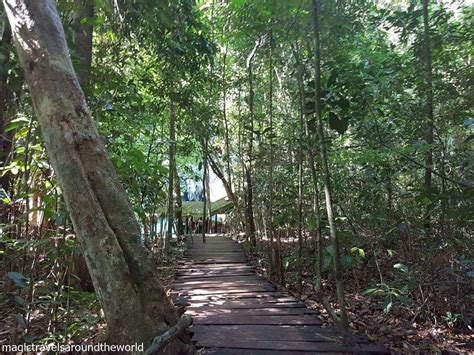 from Subterranean River in Palawan Philippines 1 | Magic Travels Around the World