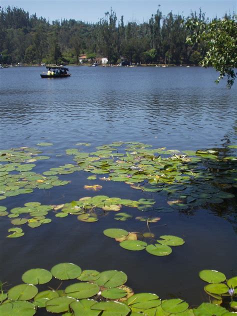 File:Kodaikanal lake.jpg - Wikipedia