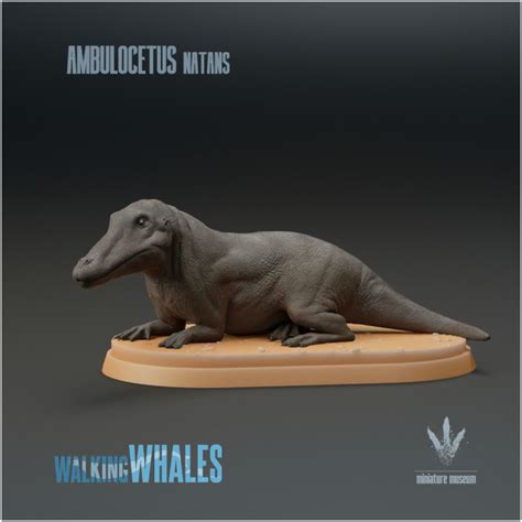 3D Printable Ambulocetus natans : Land Whale by Miniature Museum