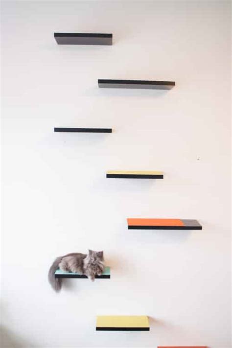 How to Build Cat Shelves That Your Cat Will Love - Brooklyn Farm Girl