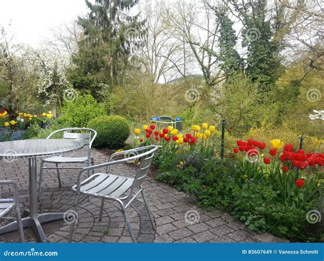 Garden stock image. Image of outside, flowers, nature - 85607649