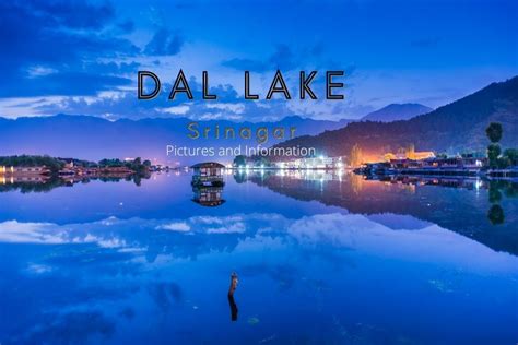 Dal Lake Srinagar | SIA Photography | Photography Tours to Ladakh