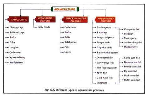 Aquaculture: Characters, Types and Qualities