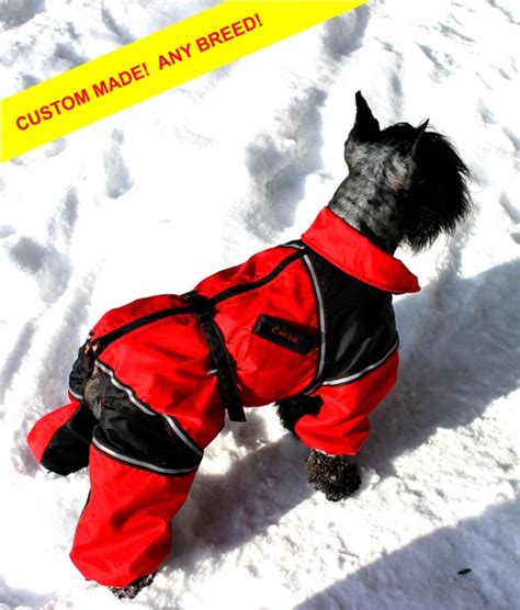 CUSTOM FIT Dog Winter Clothes. Custom Made Dog Snowsuit.