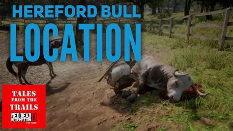 🗣 RDR2 - Where to find a Hereford Bull in Red Dead Redemption 2 - Bull ...