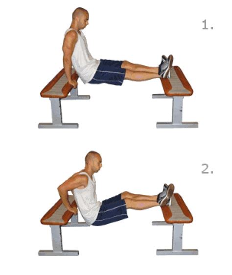 How to do Tricep Dips properly. - Bodybuilding.com Forums