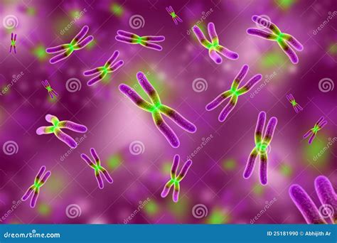 Chromosome stock illustration. Illustration of science - 25181990
