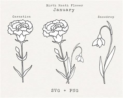 Carnation Flower SVG, Snowdrop Flower SVG, January Birth Month Flowers, Birthday Flowers for ...