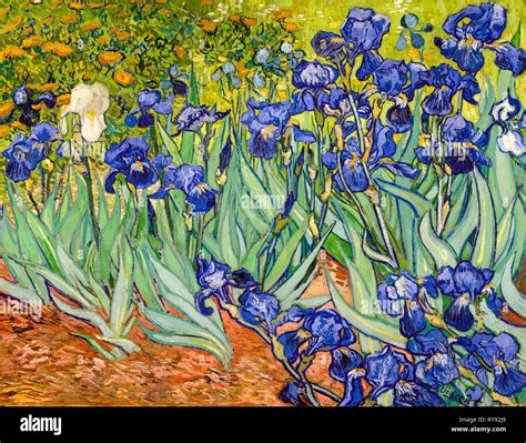 Lirios, pintura post impresionista de Vincent van Gogh, 1889 Fotografía ...