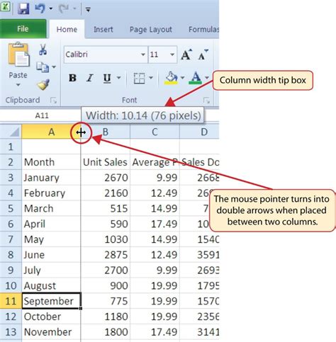 1.2 Entering, Editing, and Managing Data – Beginning Excel