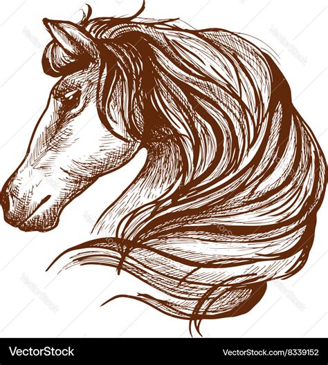 Profile of horse with flowing mane sketch style Vector Image