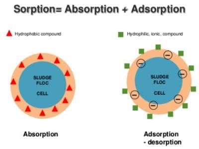 Absorption and Sorption - QS Study