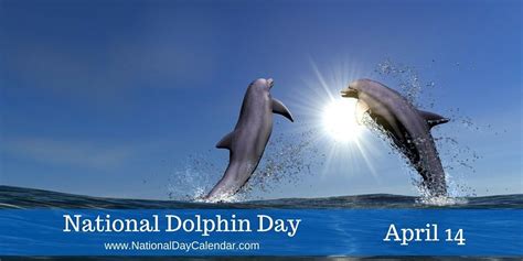 NATIONAL DOLPHIN DAY - April 14 | Dolphins, American day, National days