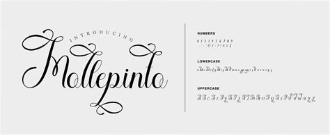 Best wedding fonts - lasoomex