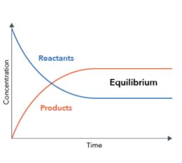 Equilibrium - Definition, Classification, Example, Description, Characteristics and FAQs of ...