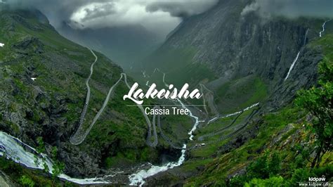 Lakeisha Meanings in English, Popularity, Origin